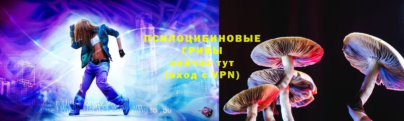 Псилоцибиновые грибы Magic Shrooms  Бузулук 